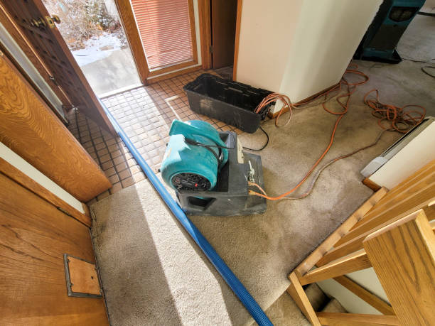 Best Water damage restoration experts  in Weiser, ID