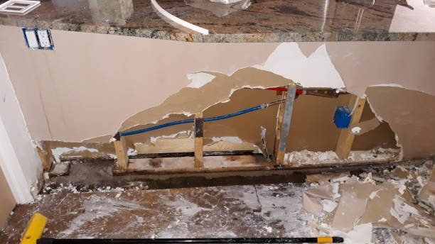 Best Water damage restoration near me  in Weiser, ID