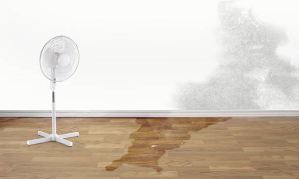 Professional Water damage restoration in ID