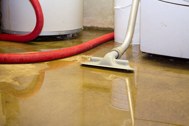 Best Ceiling water damage repair  in Weiser, ID