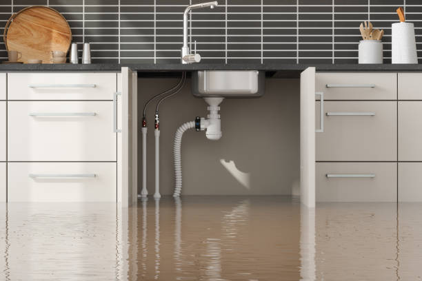 Best Water damage cleanup near me  in Weiser, ID
