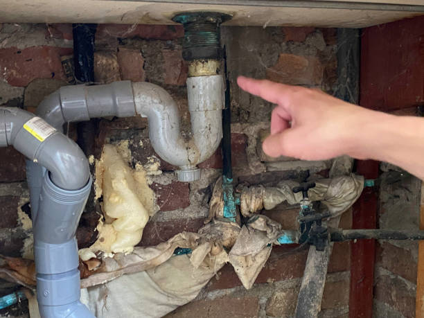 Best Flood damage cleanup  in Weiser, ID